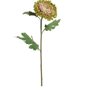 23" Green Mum Stem