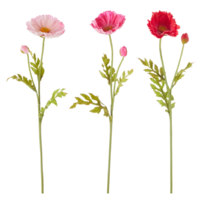 23" Poppy Stem