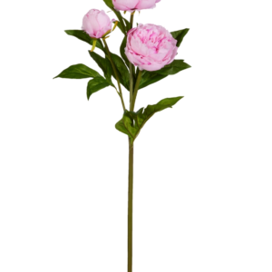 30" Pink Peony Spray