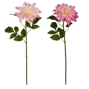 25.5" Dahlia Stem