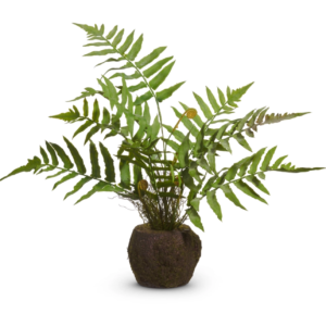 18" Fern Drop-In