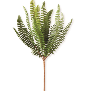 14.5" Fern Stem