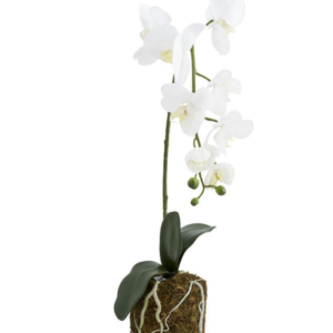 28" Orchid Drop-In